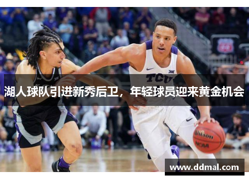 湖人球队引进新秀后卫，年轻球员迎来黄金机会