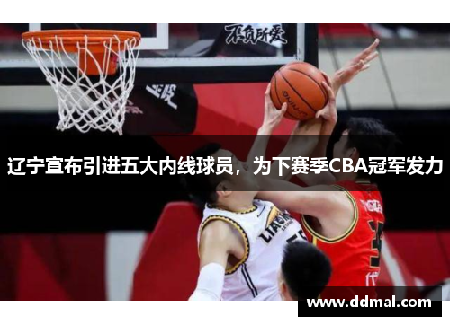 辽宁宣布引进五大内线球员，为下赛季CBA冠军发力